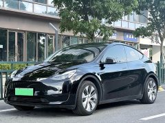 Tesla Model Y Edition - фото 1