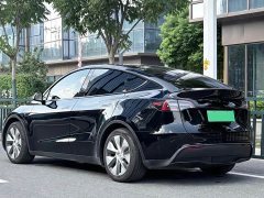 Tesla Model Y Edition - фото 11