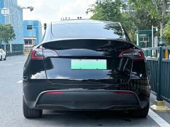 Tesla Model Y Edition - фото 12