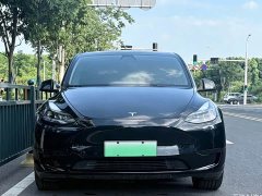 Tesla Model Y Edition - фото 2