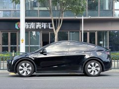 Tesla Model Y Edition - фото 3