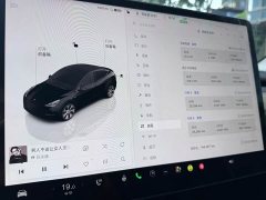 Tesla Model Y Edition - фото 9