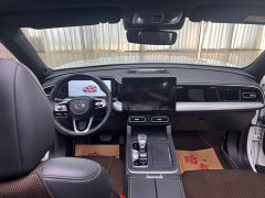 Trumpchi GS8 2.0TGDI 2WDLuxury Edition 7 - фото 13