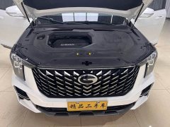 Trumpchi GS8 2.0TGDI 2WDLuxury Edition 7 - фото 16