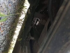 Hongqi E-QM5 Edition - фото 4