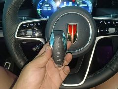 Hongqi H5 PHEV 170 Edition - фото 9