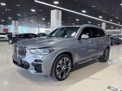 BMW X5 xDrive 40Li Deluxe VersionM - фото 1