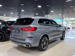 BMW X5 xDrive 40Li Deluxe VersionM - фото 13