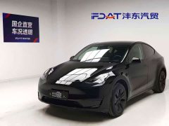 Tesla Model Y Edition - фото 1