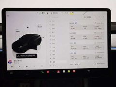 Tesla Model Y Edition - фото 13