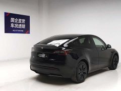 Tesla Model Y Edition - фото 4