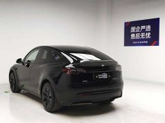 Tesla Model Y Edition - фото 6