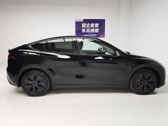 Tesla Model Y Edition - фото 7