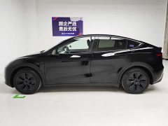 Tesla Model Y Edition - фото 9