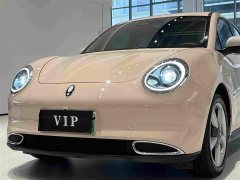 Ora 400kmStandard Range Edition - фото 15