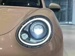 Ora 400kmStandard Range Edition - фото 16
