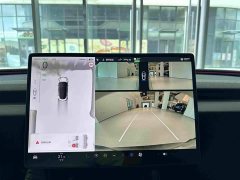 Tesla Model 3 Long Range Edition - фото 16