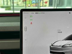 Tesla Model 3 Long Range Edition - фото 17