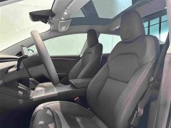 Tesla Model 3 Long Range Edition - фото 19