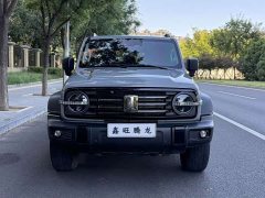 Tank 300 2.0T - фото 2