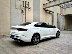 2.0TD Premium Version - фото 5