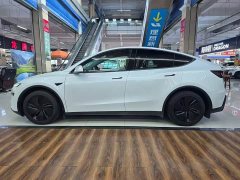 Tesla Model Y Edition - фото 3