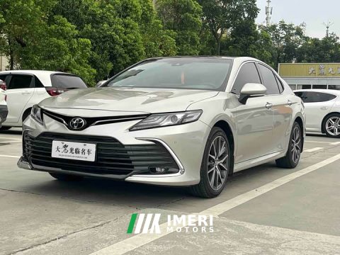 2021 Model 2.5G Luxury Edition - автомобиль из Китая