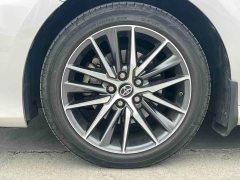2.5G Luxury Edition - фото 6