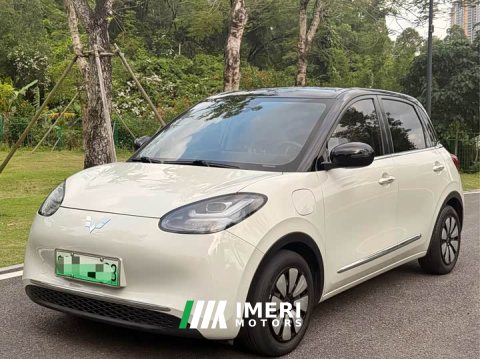 2023 Model 333km Model - автомобиль из Китая