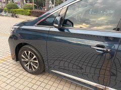 GAC Trumpchi M8 2021 Master Series 390T Premium Edition - фото 8