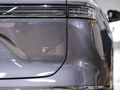 Nio ES8 Luxury Edition - фото 11