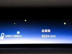 Nio ES8 Luxury Edition - фото 16