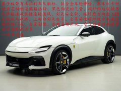 BMW Purosangue 6.5L V12 - фото 1