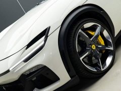 BMW Purosangue 6.5L V12 - фото 3