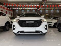 Haval M6 PLUS 1.5T Luxury Version - фото 3