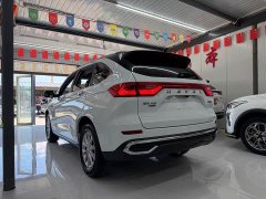 Haval M6 PLUS 1.5T Luxury Version - фото 4