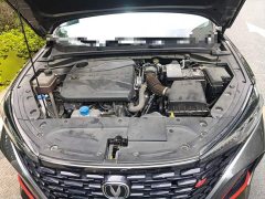 PLUS NE 1.4T GDI DCTFlagship Edition - фото 16