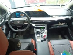 PLUS NE 1.4T GDI DCTFlagship Edition - фото 5