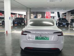 Tesla Model 3 Edition - фото 10