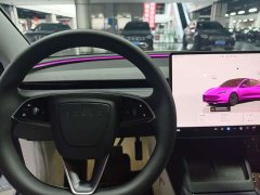 Tesla Model 3 Edition - фото 11
