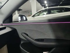 Tesla Model 3 Edition - фото 12