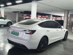Tesla Model 3 Edition - фото 13