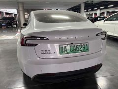 Tesla Model 3 Edition - фото 2