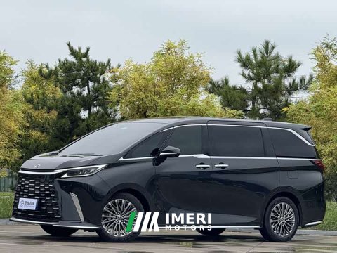 2024 LM 2023 Model 500h Edition - автомобиль из Китая