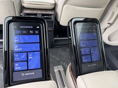 Lexus LM 500h Edition - фото 14