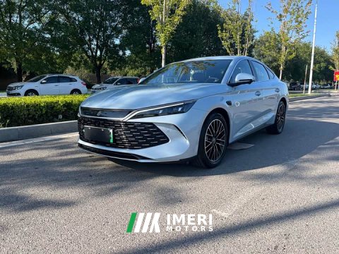 2025 L 2025 Model DM-i Smart Drive Edition 120KM Version - автомобиль из Китая