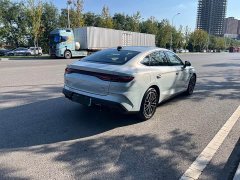 BYD L DM-i Smart Drive Edition 120KM Version - фото 20