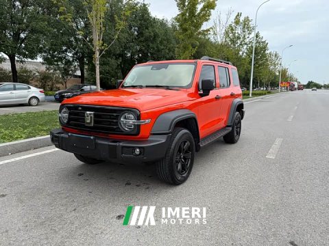 2023 300 2023 Model Off-Road Edition 2.0T - автомобиль из Китая