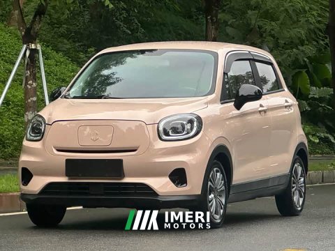 2022 T03 2021 Model 400 Edition - автомобиль из Китая