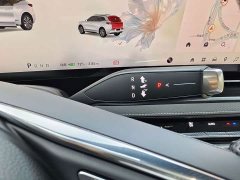 Buick E5 Edition - фото 16